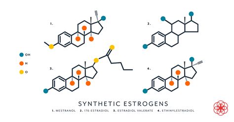 Structure Of Estrogen