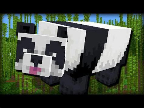 All about panda🐼 | Minecraft Amino