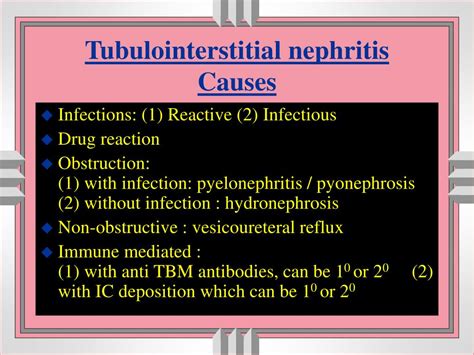 PPT - TUBULOINTERSTITIAL DISEASES Terminology PowerPoint Presentation, free download - ID:334210