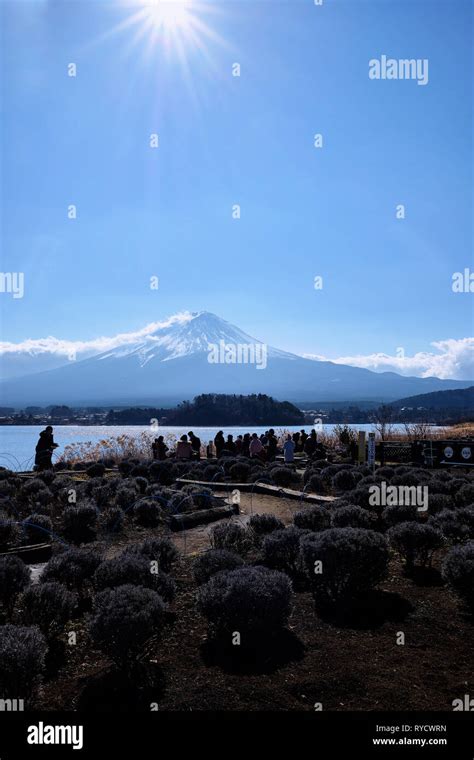 Mount Fuji on Lake Kawaguchi Stock Photo - Alamy