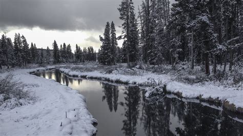 🔥 [31+] Yellowstone National Park HD Wallpapers | WallpaperSafari