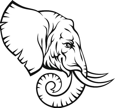 Elephant Side View Drawing Illustrations, Royalty-Free Vector Graphics ...