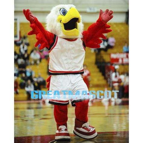 University Red Hawk Mascot Costume