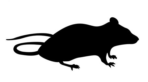 Mouse Silhouette Sitting Free Stock Photo - Public Domain Pictures