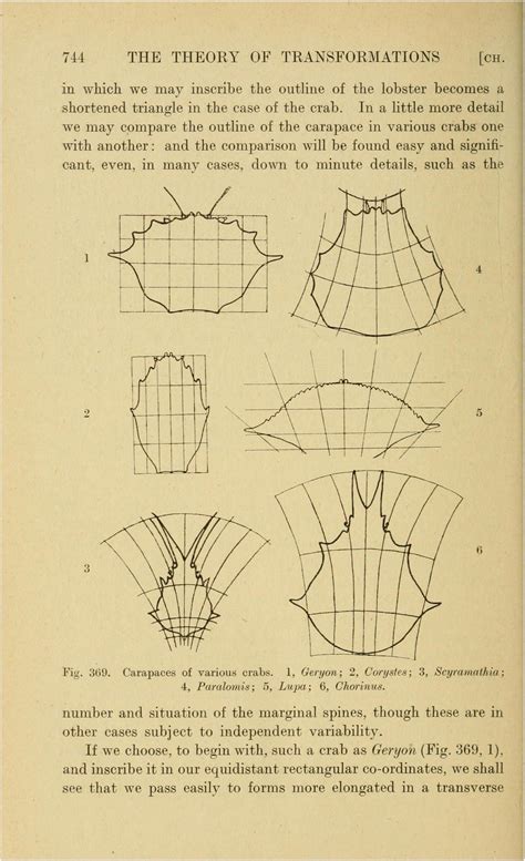 Edward Tufte forum: Rare books Edward Tufte, Carapace, Information Design, Photography ...