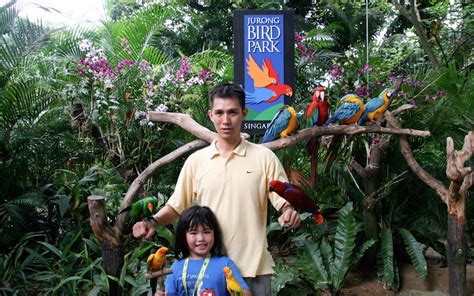 Jurong Bird Park Admission Ticket | Best Price Guarantee