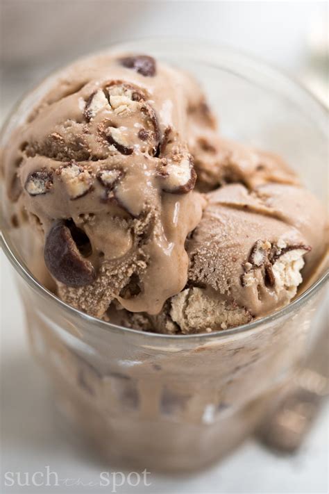 Homemade Chocolate Malted Crunch Ice Cream Recipe