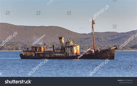 Sunken Whale Chaser Cheynes Beach Whaling Stock Photo 1015549558 | Shutterstock