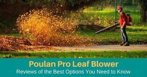 Top 5 Leaf Blower Reviews Must Buy For Your Garden in 2022 of Poulan ...