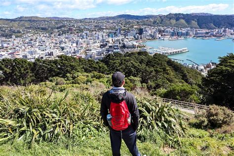 Mount Victoria Lookout: How to Get the Best Views of Wellington