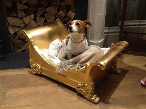 10 Cute Luxury Dog Beds | Luxury dog, Fancy dog beds, Dog bed luxury