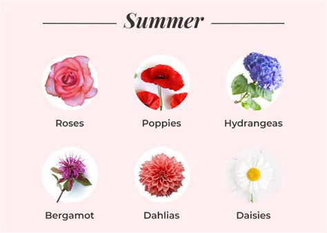 What Flowers Are In Season? A Seasonal Flower Guide