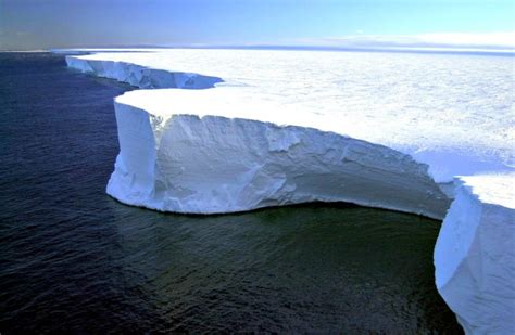 Fractured Antarctic ice sheet will create one of the largest icebergs ever recorded | Inhabitat ...