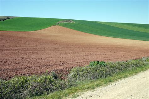 Wheatfields | Monday 9th April 2012 between Ciruena and Sant… | Flickr