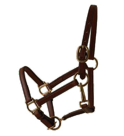 Tory Leather Weanling Halter