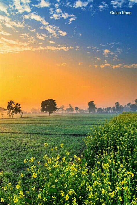 Brilliant agricultural fields beauty & morning view of beautiful rural ...