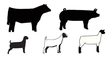 Livestock Clipart - ClipArt Best