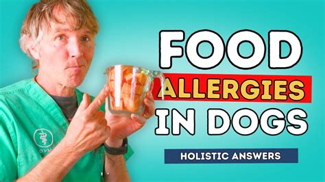 Food Allergies In Dogs: Holistic Answers - YouTube