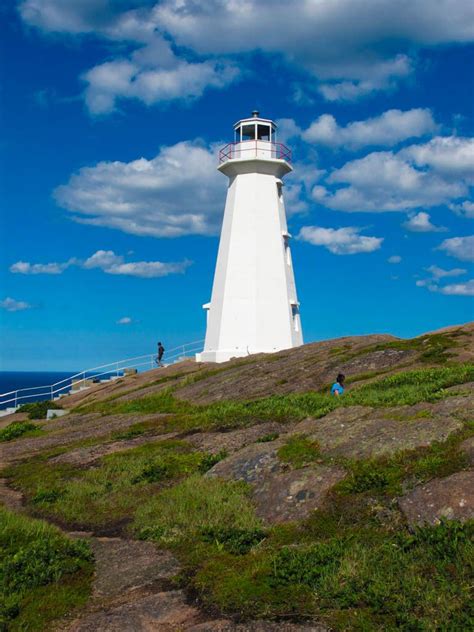 The Top 10 Things to Do in St. John's, Newfoundland | Newfoundland ...