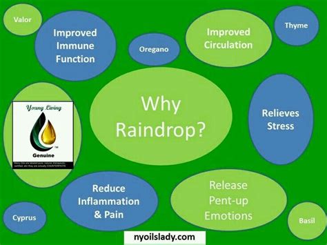 27 best images about Raindrop Technique on Pinterest | Massage ...