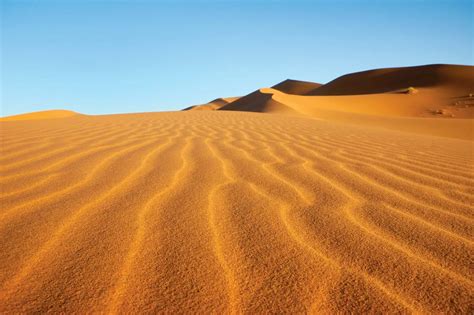 19 Unbelievable Facts About Desert - Facts.net