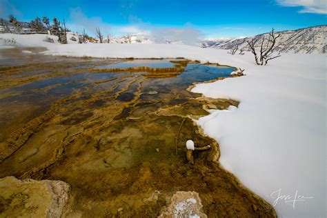 Mammoth Hot Springs Winter | Yellowstone National Park, Wyoming | Photos by Jess Lee