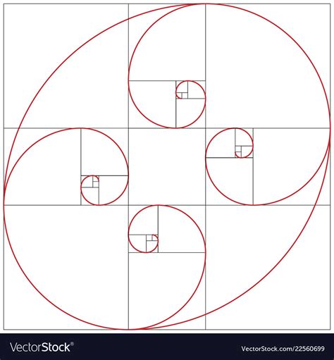 Fibonacci spiral golden ratio Royalty Free Vector Image