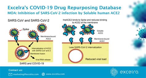 Excelra on LinkedIn: Excelra | Covid-19-Drug-Repurposing-Database