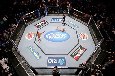 What is MMA - A beginner's guide to UFC and the world of cage-fighting