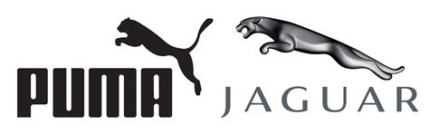 Jaguar goes for Puma - Chiever