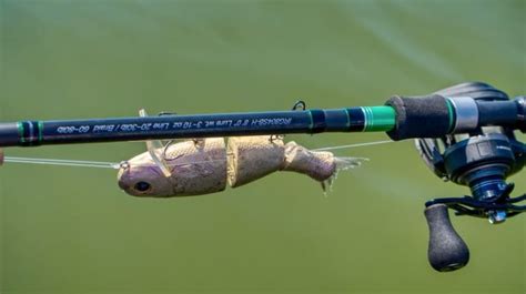 Best Swimbait Rods 2022 - (Our Top 6) - Bass Tackle Lures