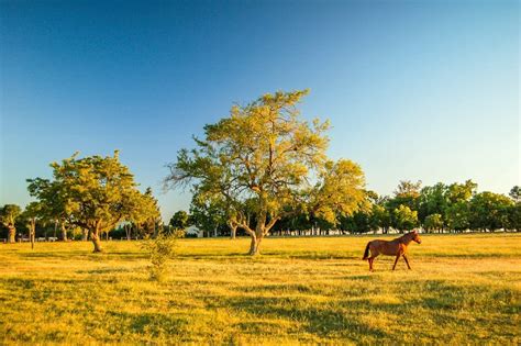 The Pampas - Landed Travel