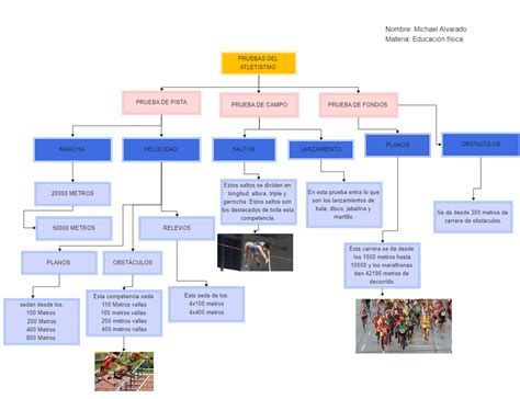 Company Structure Diagram | EdrawMax Templates