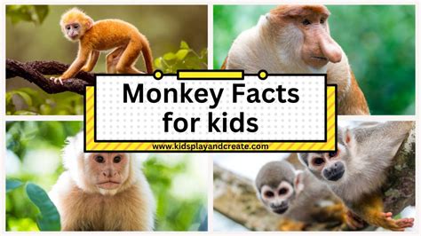 Monkey Mania: A Kid's Guide to Amazing Monkey Facts and Fun! - Kids Play and Create