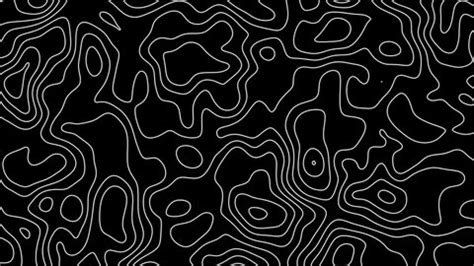 Topographic Map Moving Fractal Lines Looped Arkivvideomateriale (100 % royaltyfritt) 1065439309 ...