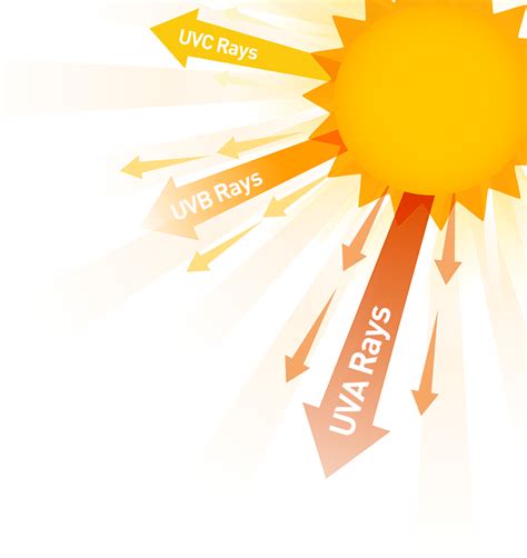 5 Easy Ways to Protect Your Eyes from the Sun Exposure: Eye Care Tips