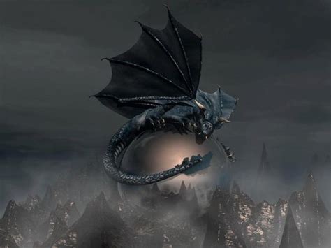 Dark Dragons