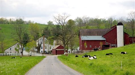 TOP Pet-Friendly Hotels in Amish Country, OH for 2024 | Expedia.co.in