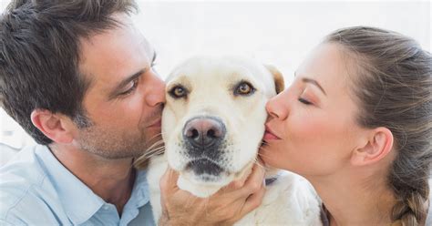 Survey Says Most Dog Owners Kiss Their Pups More Than Their Partners