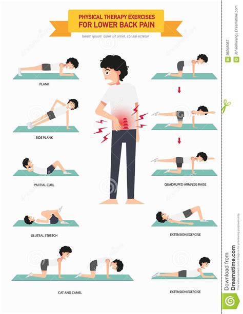 Stretching Exercises For Back Pain Relief – Online degrees