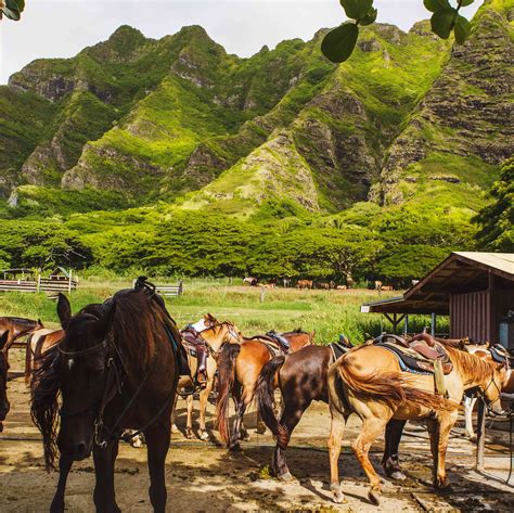 15 Family Attractions on Oahu, Hawaii