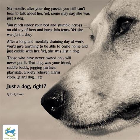 Pin by Elena Swinney on Pawprints on my heart ♥ | Dog poems, Dogs, Dog quotes