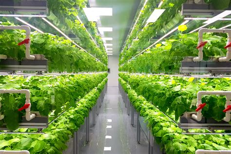 What is vertical farming and is it the future of farming?