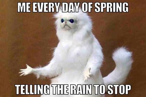 50 Funny Spring Memes To Have You Laughing All Season Long