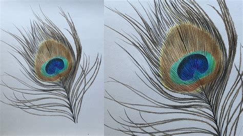 35+ Trends For Easy Peacock Feather Crayons Drawing - Mariam Finlayson