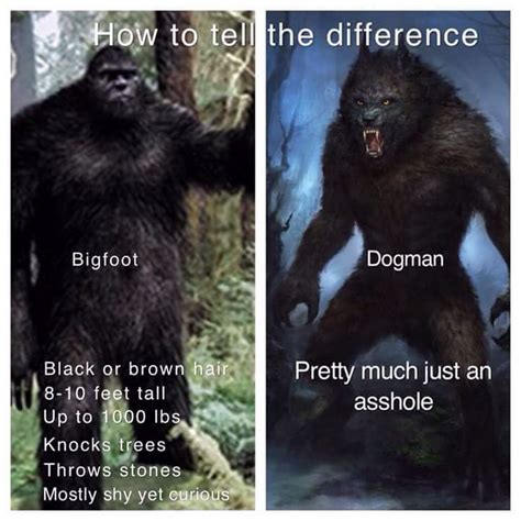 Pin on Bigfoot/Dogman/BHM/Creatures