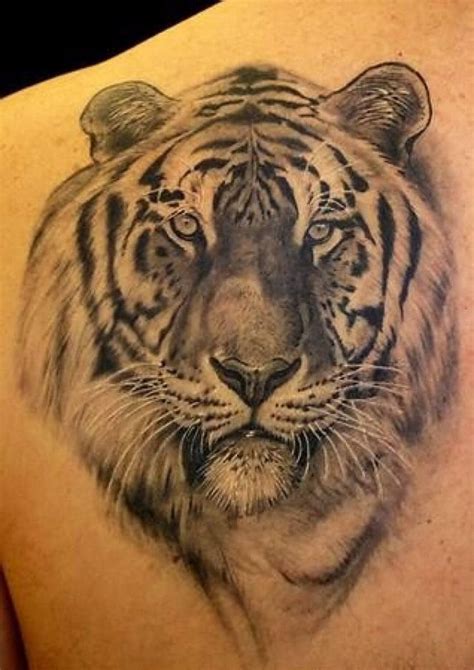 15+ Best Tiger Head Tattoo Designs and Ideas - PetPress