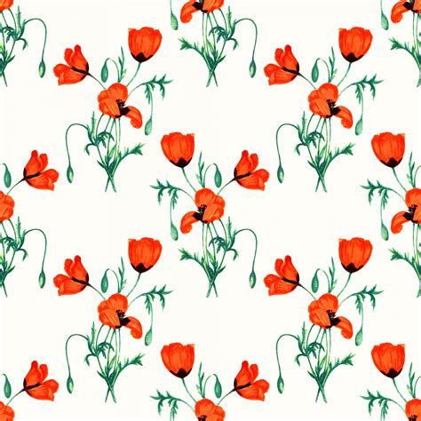 Poppy Flowers Watercolor Background Free Stock Photo - Public Domain ...