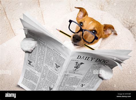 Newspaper template hi-res stock photography and images - Alamy