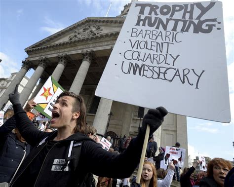 Hunters face total ban on bringing trophy kills back to UK | The ...